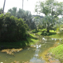 фото из отзыва ID 886488