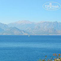 фото из отзыва ID 886760