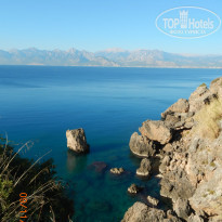 фото из отзыва ID 886760