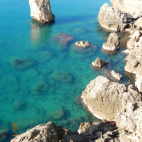 фото из отзыва ID 886760