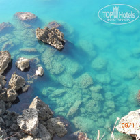 фото из отзыва ID 886760