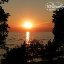 фото из отзыва ID 886940