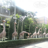 фото из отзыва ID 886804