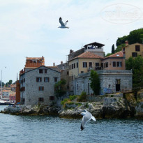 фото из отзыва ID 886940