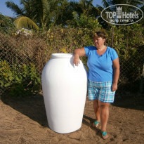 фото из отзыва ID 886141