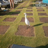 фото из отзыва ID 886141