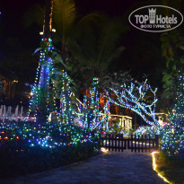 фото из отзыва ID 886148