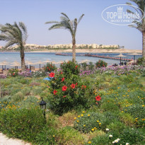 фото из отзыва ID 88796