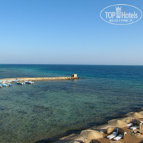 фото из отзыва ID 887040