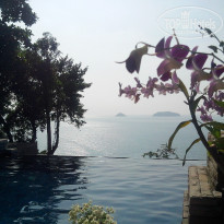 фото из отзыва ID 887096