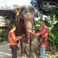 фото из отзыва ID 887096