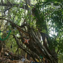 фото из отзыва ID 887208