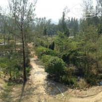 фото из отзыва ID 887264