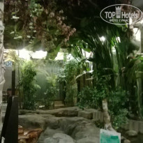 фото из отзыва ID 887529