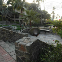 фото из отзыва ID 887778