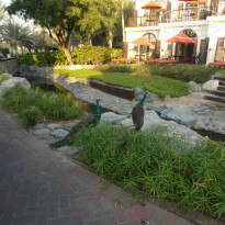 фото из отзыва ID 887778