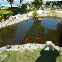 фото из отзыва ID 887778