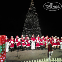 фото из отзыва ID 887778