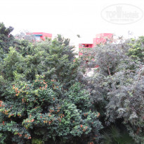 фото из отзыва ID 887897