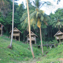 фото из отзыва ID 887991