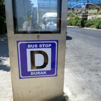 фото из отзыва ID 887049