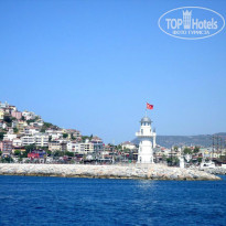 фото из отзыва ID 887049