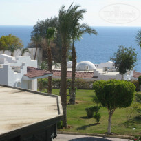 фото из отзыва ID 887515