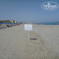 фото из отзыва ID 887808