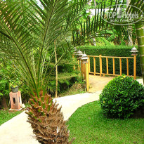 фото из отзыва ID 887427