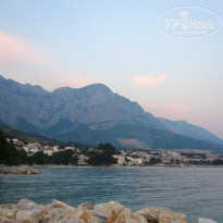 фото из отзыва ID 88890