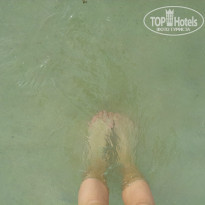 фото из отзыва ID 888056