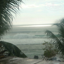 фото из отзыва ID 888146