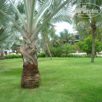 фото из отзыва ID 888146