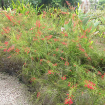 фото из отзыва ID 888151