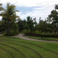 фото из отзыва ID 888151