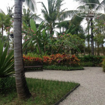 фото из отзыва ID 888151