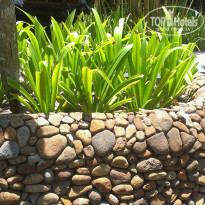 фото из отзыва ID 888151