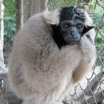 фото из отзыва ID 888198