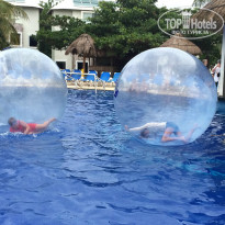 фото из отзыва ID 888381