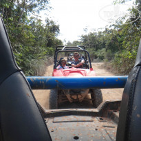 фото из отзыва ID 888381