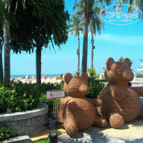 фото из отзыва ID 888461