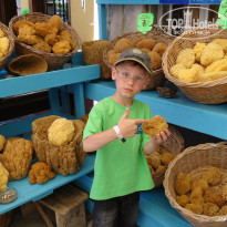 фото из отзыва ID 888491