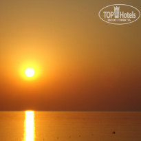 фото из отзыва ID 888491