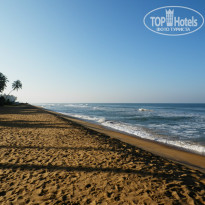 фото из отзыва ID 888644