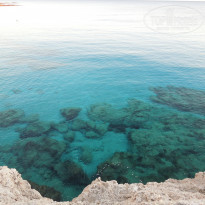 фото из отзыва ID 888698