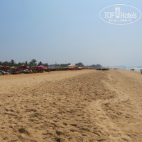 фото из отзыва ID 888636