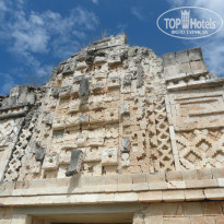 фото из отзыва ID 888808