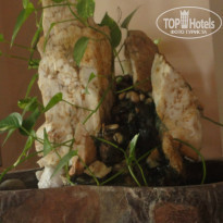 фото из отзыва ID 888821