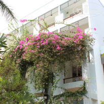 фото из отзыва ID 888821