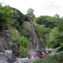 фото из отзыва ID 888821